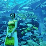 Aquariums in Manhattan, NY
