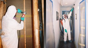 Prevent Health Risks Using Mold Remediation Baton Rouge LA Services at Home