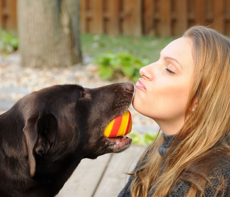 7 Common Dog Behavior Problems—and How Training Can Help in Glendale, AZ