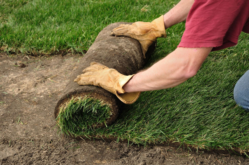 Discover The Best Landscape Designs In Darien CT