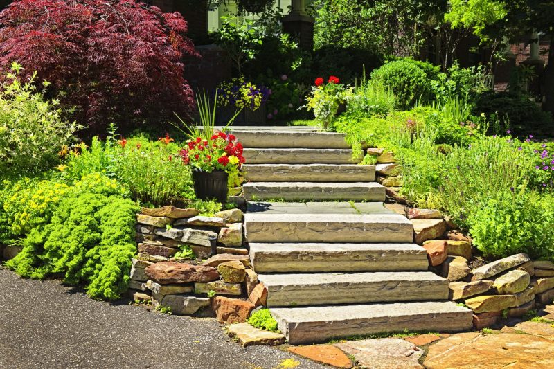 The Importance of Ongoing Shrub Care in Bowie MD