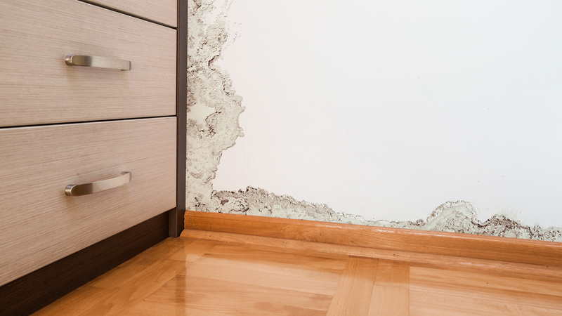 Repairs for Flood Damage and Mold Remediation in San Diego