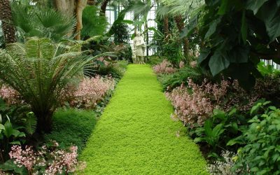 Benefits Of Hiring Landscaping Services In Carmel IN