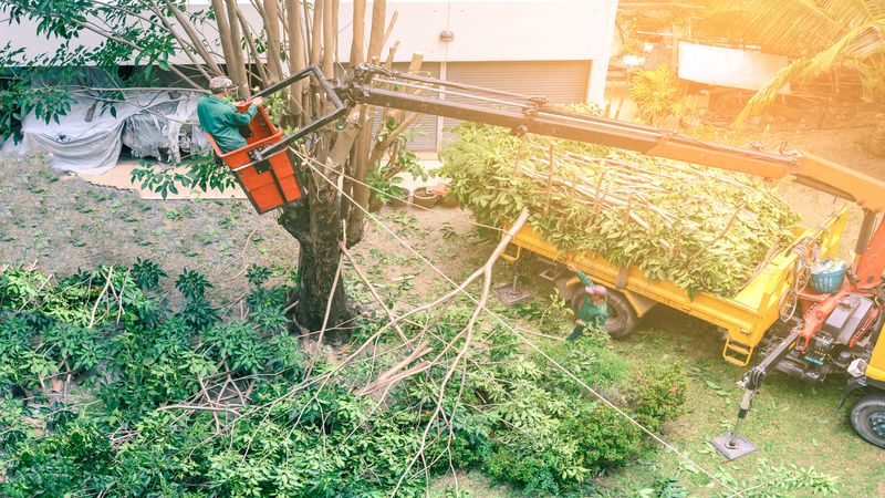 Effective Tree Maintenance in Kennewick, WA: Maintaining Healthy Trees For a Beautiful Landscape