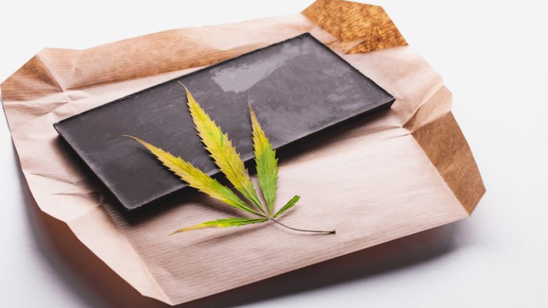 Traveling With Your MMJ Card In Sarasota, FL