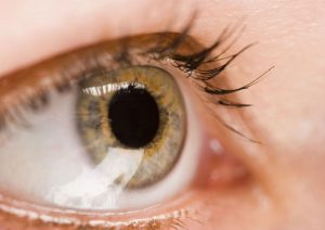 Looking For Cataract Surgeons in Jacksonville, FL? Here’s What to Consider
