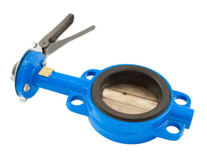 Valve Distributors for Pipe Fittings, Specialty Valves, and More