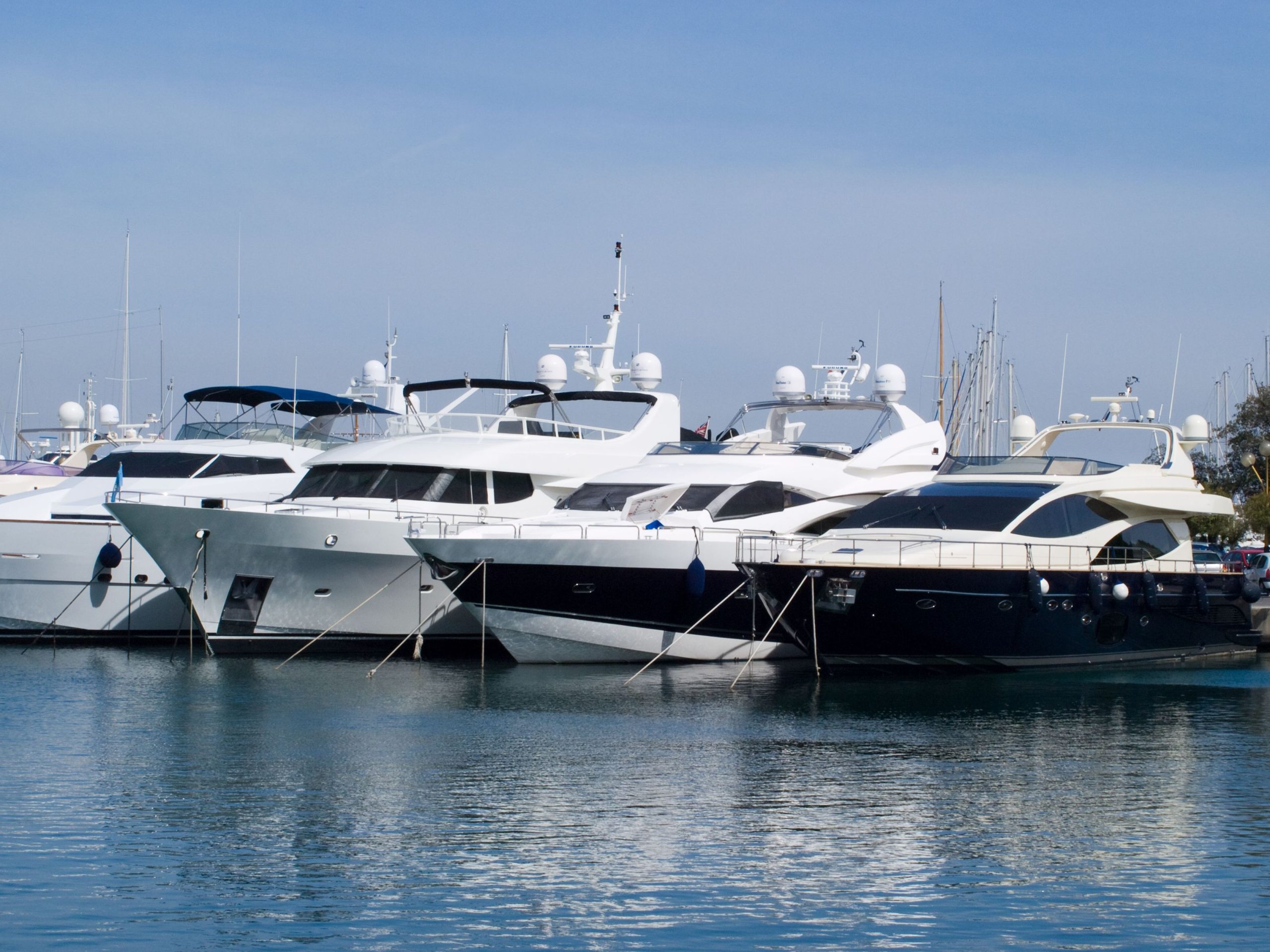 3 Factors to Consider When Choosing Whale Watching Tours in Monterey Bay