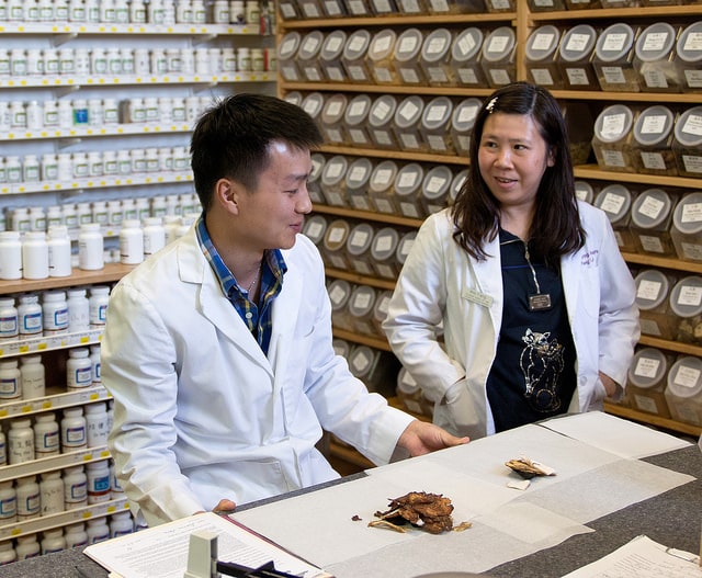 Entering a Chinese Medicine Doctorate Program Could Be a Great Career Move