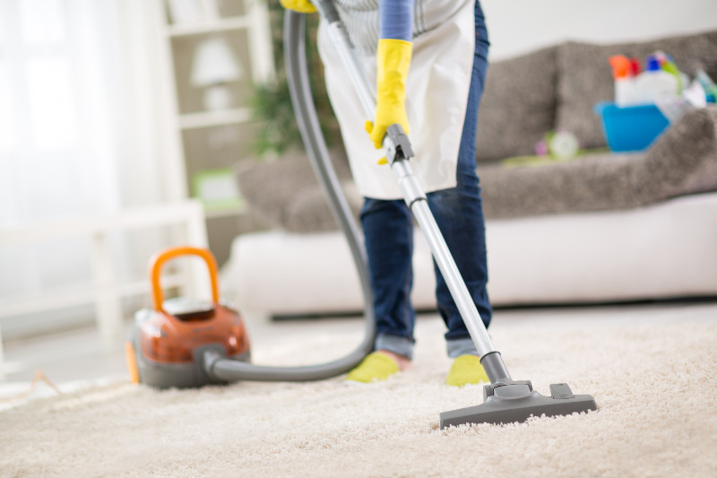 Professional Carpet Cleaning Companies in Thornton, CO, Provide Expert Services Every Time