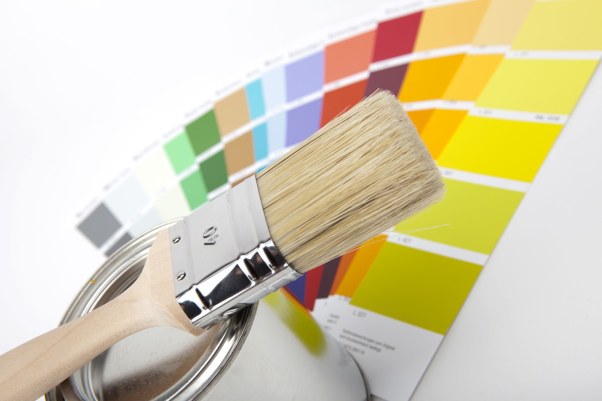 You Can Always Depend On Skilled Interior and Exterior Painters in Tampa, FL