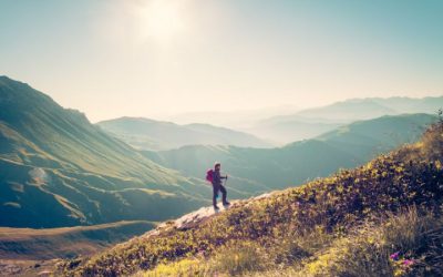 For the Best Group Wilderness Tours in Alaska, Some Online Research Can Help
