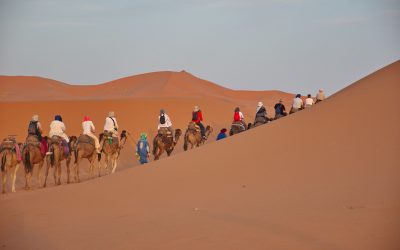 Explore the Country With a 3-Day Desert Tour from Marrakech to Fes
