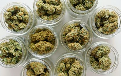 Exploring the Benefits of a Dispensary in Phoenix