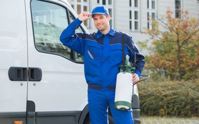 Professional Pest Control Services In Temecula CA