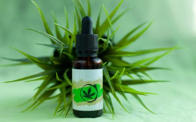 Finding the Best Dispensary in Spokane