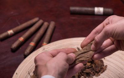 Savor the Vibrant Taste of Siberia by Chewing Tobacco