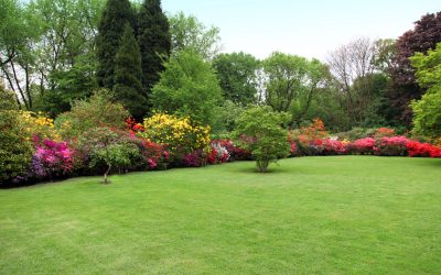 Bringing Health and Beauty to Your Lawn with Lawn Care Program in Charlotte, NC