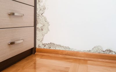 Essential Water Damage Restoration Carmel IN Tips for Homeowners