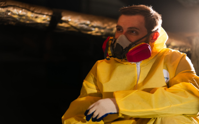 Smoke Remediation Company in Peachtree City, GA, Restores Homes Quickly