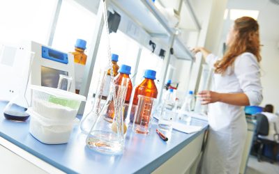 Transform Your Organic Farming Results by Incorporating Humic Acid