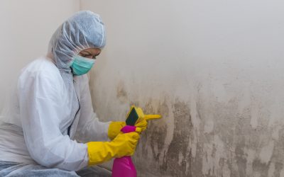 Essential Steps for Fast and Effective Flood Water Damage Cleanup in Laurel, MS Solutions