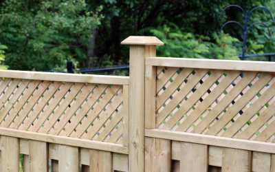 Fencing Services in Winnebago County, IL Help Homeowners Stop Wildlife From Getting in the Yard