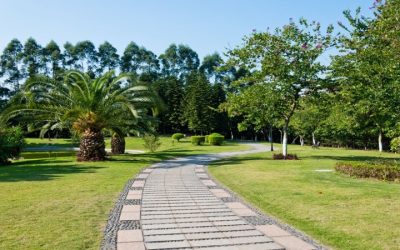 Boost Curb Appeal Instantly with Help from Mulch Companies Near Sussex, WI