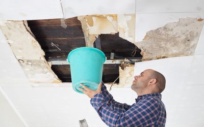Protect Your Home From Water Damage With Expert Leak Repair Queen Creek AZ Services