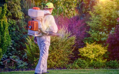 Simple Ways to Use Grass Killer For Flower Beds in Charlestown, IN, Without Harming Your Blooms