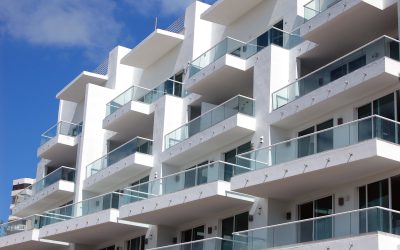 Finding Pet-Friendly Living in Apartments Near Norfolk Without Breaking the Bank