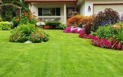 Transform Your Outdoor Space With Landscaping in York County, SC for Lasting Curb Appeal