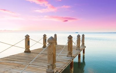 Find the perfect retreat with boat docks Palm Beach FL residents trust for relaxation