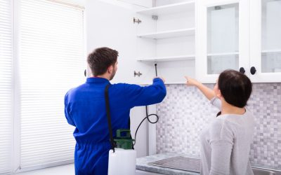 Reliable Commercial Pest Control Prosper, TX for a Healthier Business Space