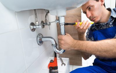Understanding When Sewer Line Repair Raymore MO Becomes Essential for Your Home
