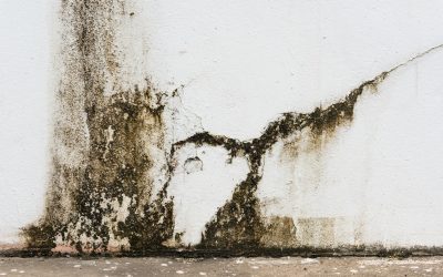 Quick Response From Water Damage Restoration Services, Kansas City, MO, Minimizes Loss