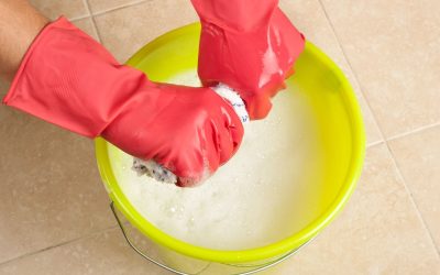 Keep Allergens Away and Wellness Up with Trusted Residential Cleaning In Berkeley, CA Services