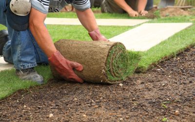 Enhance Employee and Visitor Experience With Commercial Landscape Services Charlottesville