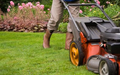 Create a Lush Green Yard With Lawn Care Services Homeowners Trust
