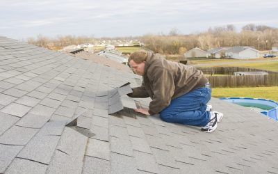 Protect Your Home from Harsh Weather with Metal Roofing in Lakeland, FL