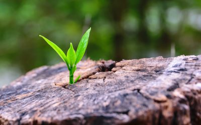 What a Marketing Motivational Speaker Actually Does (And Why Your Team Needs One)