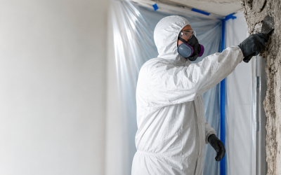 Protect Your Family with Services from an Abatement Contractor in Vacaville, CA