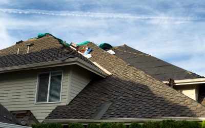 Enhance Home Comfort and Value with Window Replacement in Bartow FL for Lasting Results
