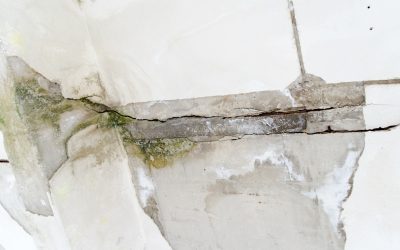 Essential Steps Homeowners Need for Flood Damage Restoration in Daytona Beach, FL Solutions