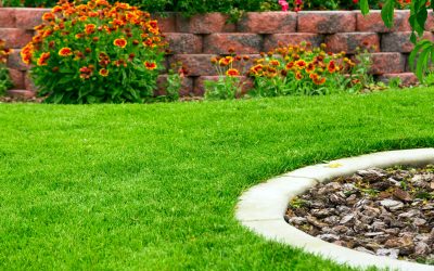 Transform Outdoor Living with Backyard Design in Murrieta, CA That Meets Your Family Needs
