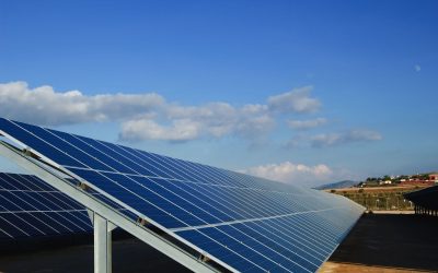 Solar Panels Clearwater FL Offer Savings and Sustainability for Local Households